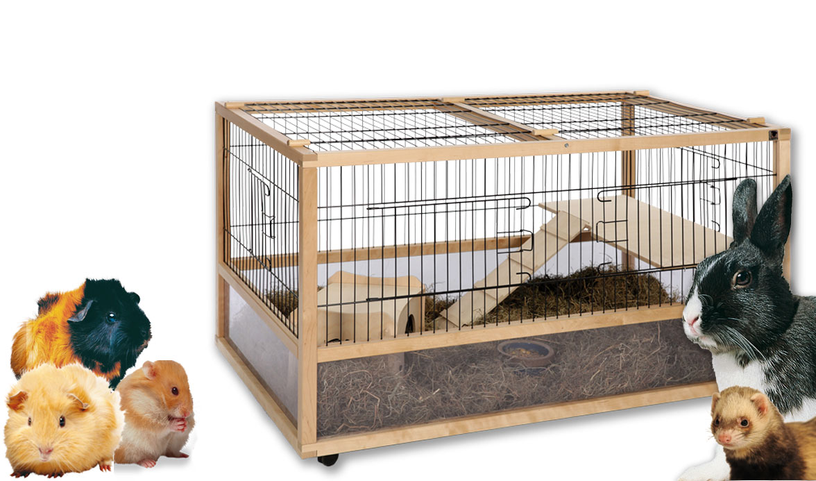 Skyline-homeNgarden-main